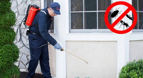 Evka 1 Hamam Böceği İlaçlama böcek ilaçlama ve haşere kontrolü — ilaclama-tr.com